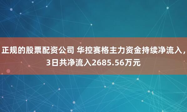正规的股票配资公司 华控赛格主力资金持续净流入，3日共净流入2685.56万元
